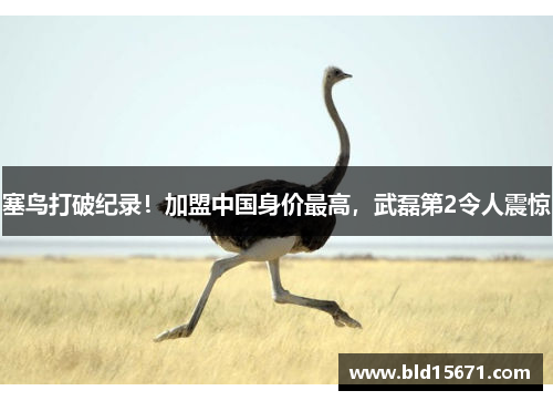 塞鸟打破纪录！加盟中国身价最高，武磊第2令人震惊
